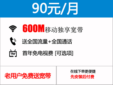 90元包月600M